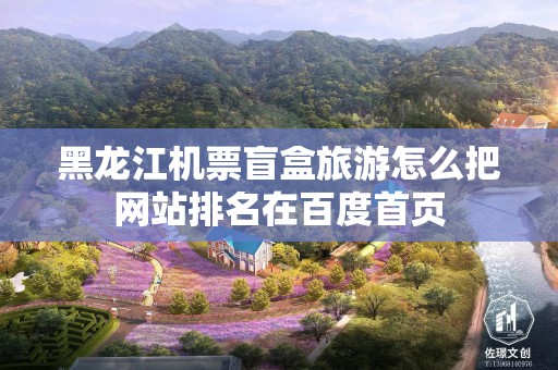 黑龙江机票盲盒旅游怎么把网站排名在百度首页