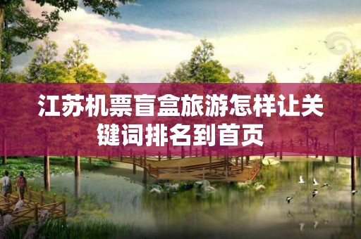 江苏机票盲盒旅游怎样让关键词排名到首页