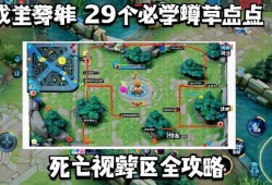 王者荣耀蹲草埋伏29点位，si亡视野盲区的终及指南，王者荣耀29个必学蹲草点位，si亡视野盲区全攻略